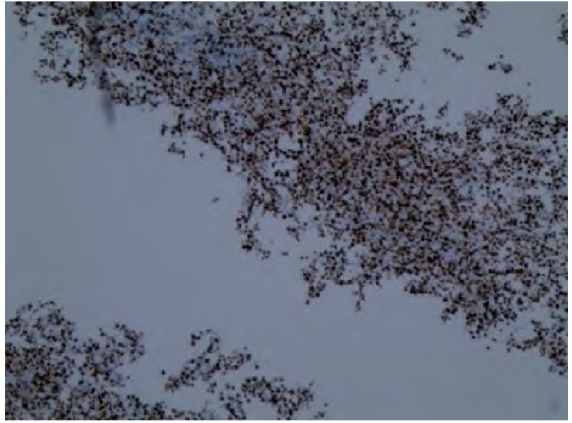 1728456675115402.png 2.png