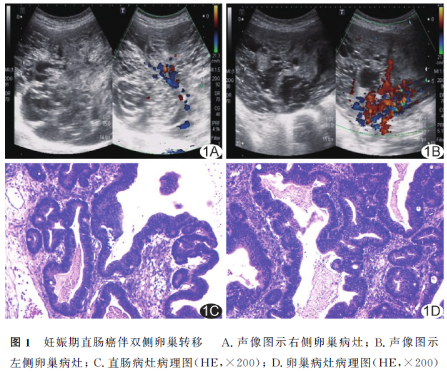 1729664366293259.png 1729664366293259.png