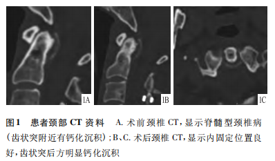 1729748493805848.png 图1.png