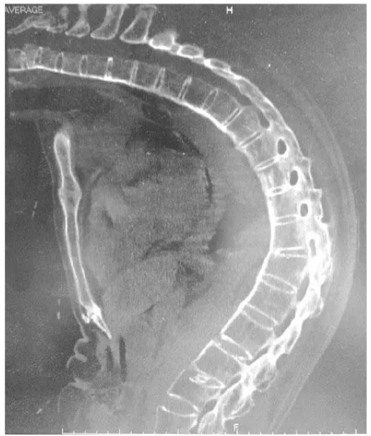 1730272604872635.png 2.png