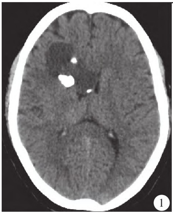 1733114856770589.png 1733114856770589.png