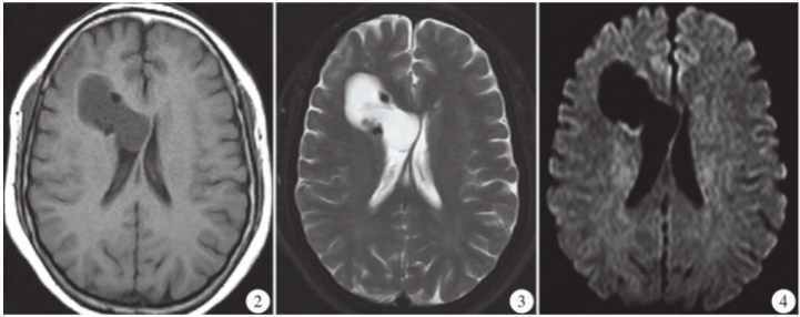 1733114877850300.png 1733114877850300.png