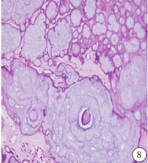 1733114912797134.png 1733114912797134.png