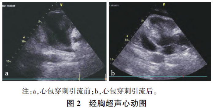 1733190415559124.png 1733190415559124.png