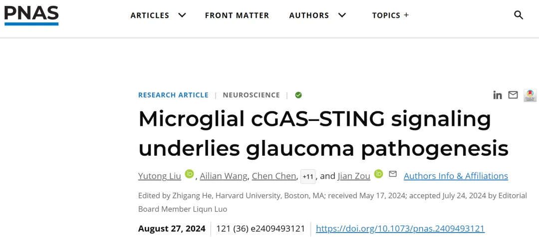 1733390521170723.png 1.png