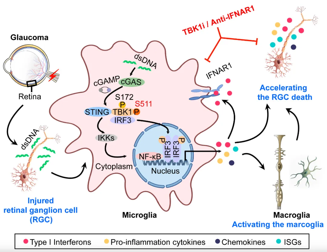 1733390533587494.png 2.png