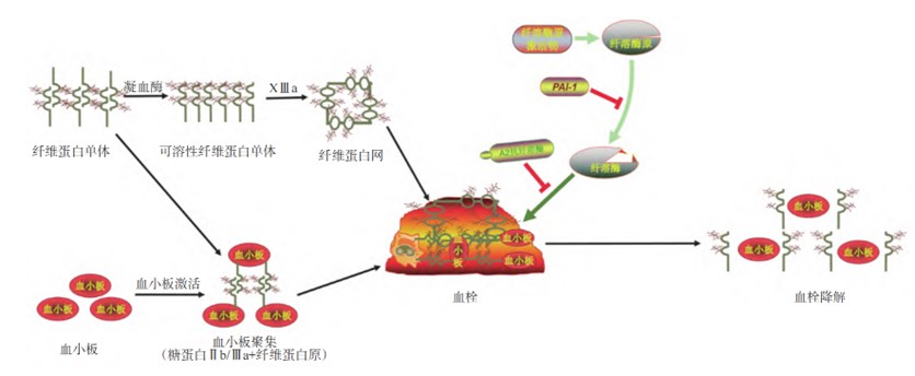 1734234208791125.jpg 图片11.jpg