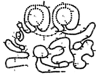 1734234275396451.jpg 图片12.jpg