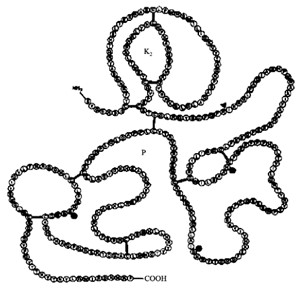 1734234290281887.jpg 图片13.jpg