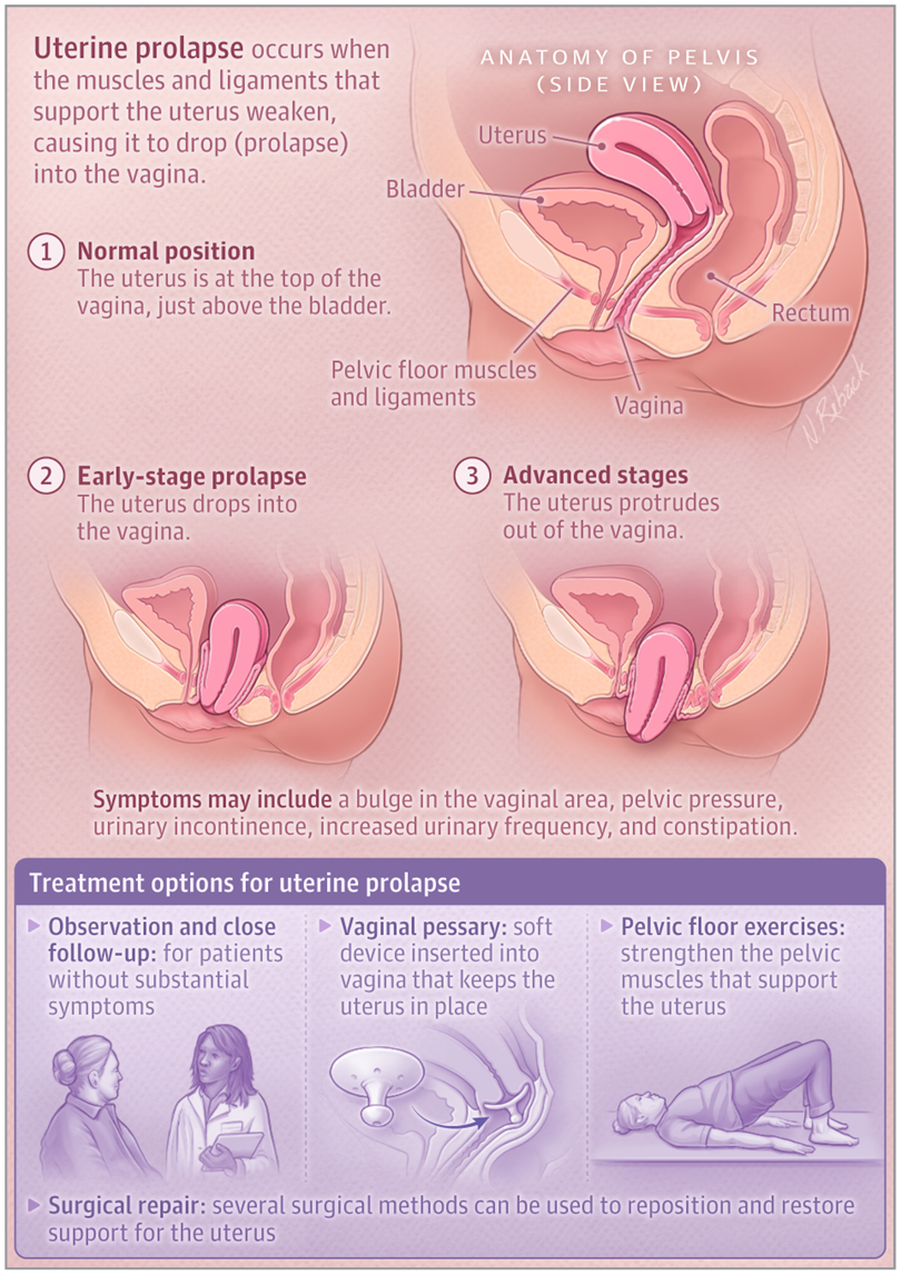 1734533960696160.png 微信图片_20241218225905.png