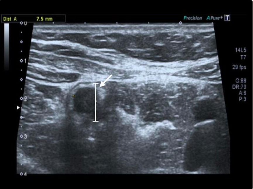 1735096641502961.png 1.png