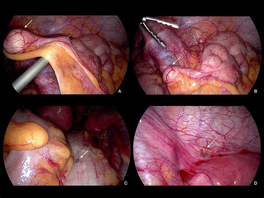 1735096696773235.png 3.png