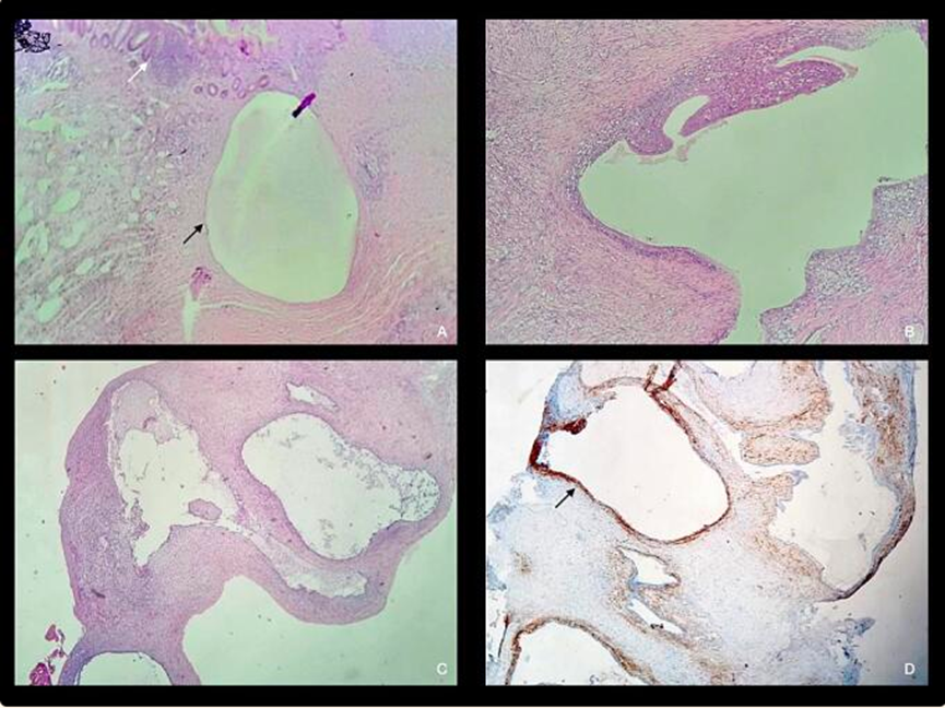 1735096736744907.png 4.png