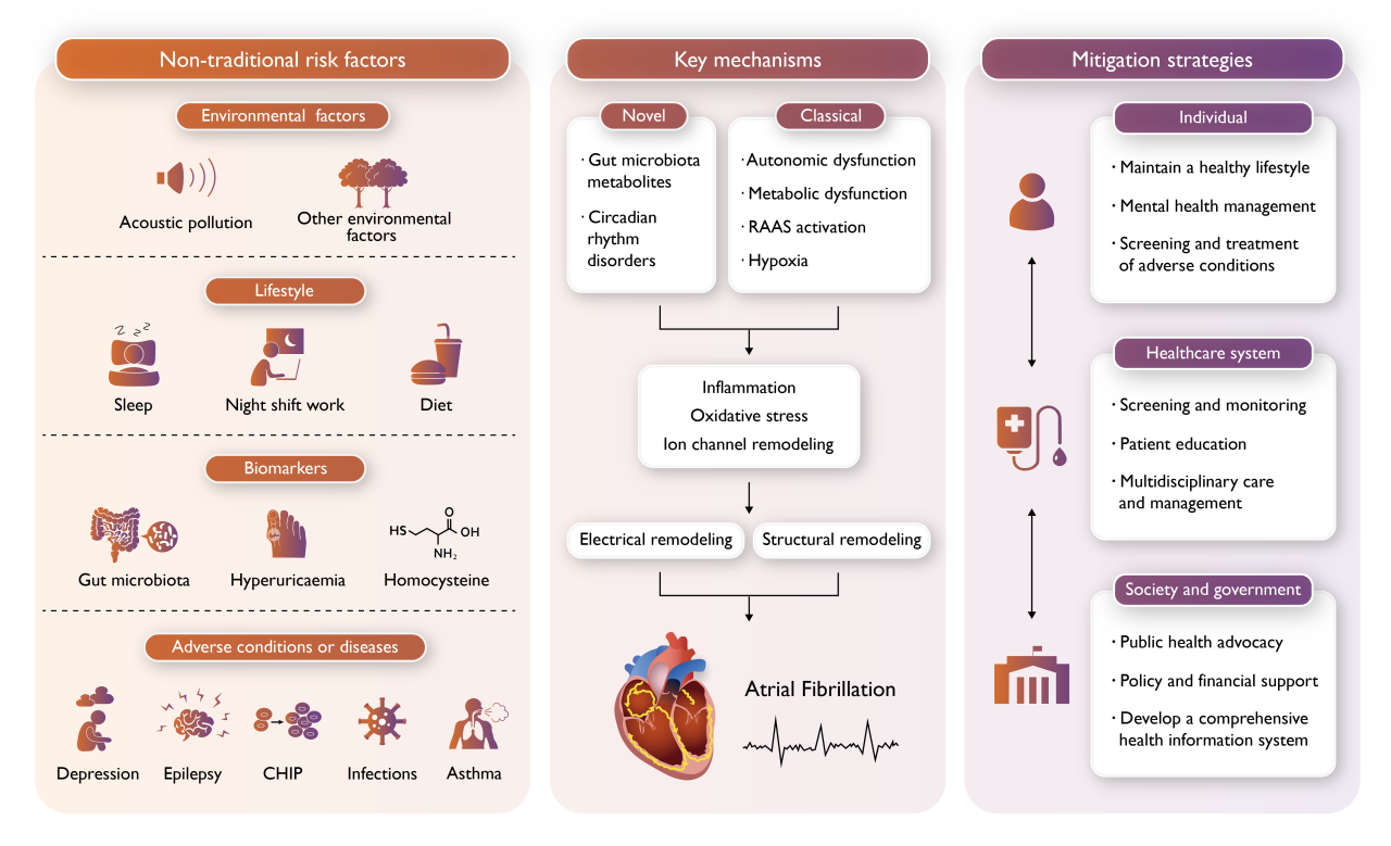 1735200857315617.png 1.png