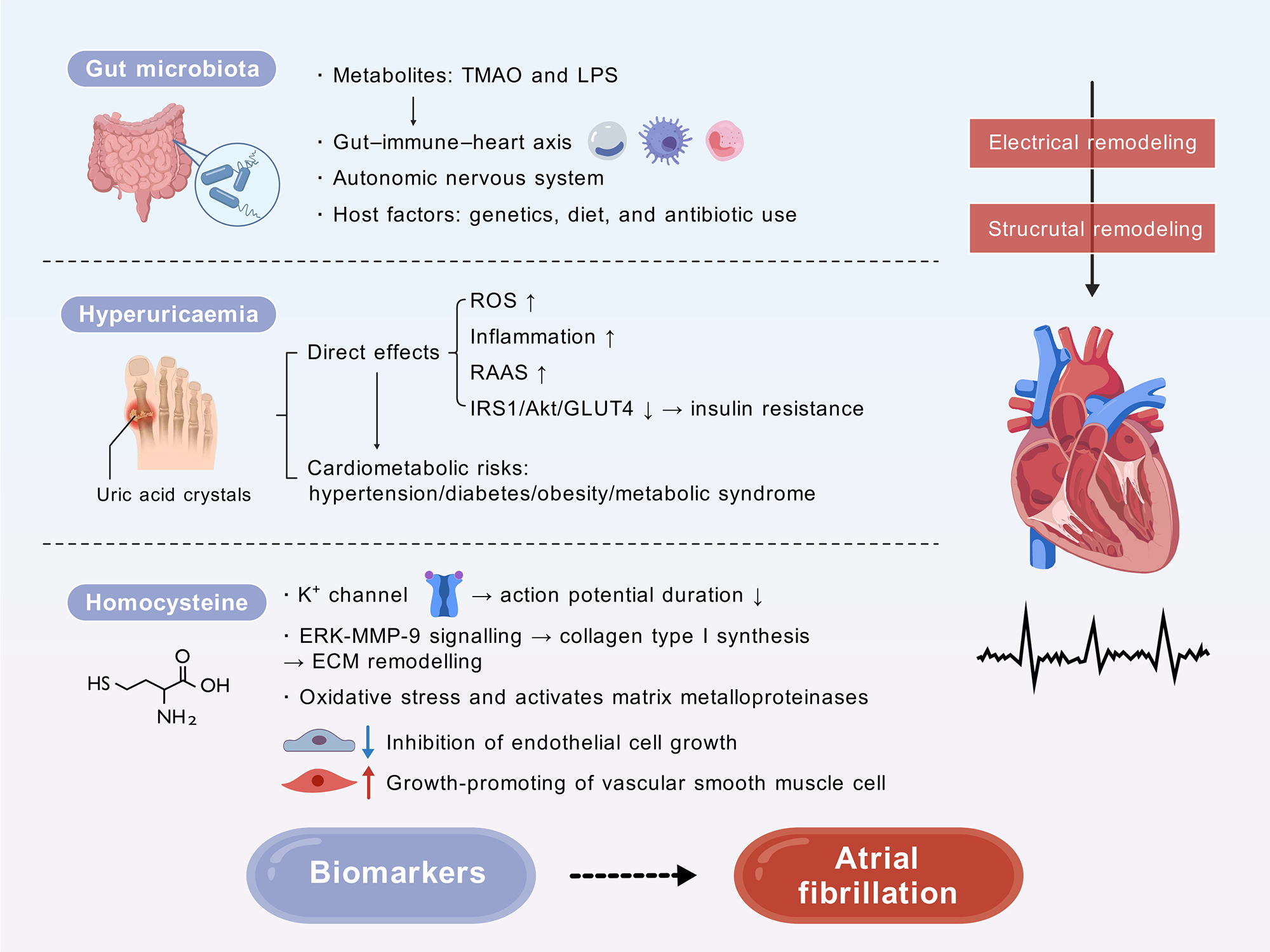 1735200907531707.png 3.png