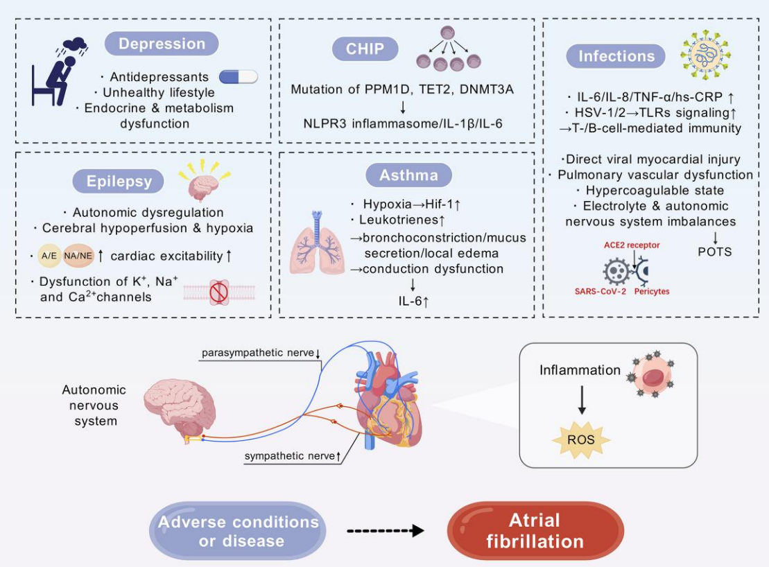 1735200926331508.png 4.png