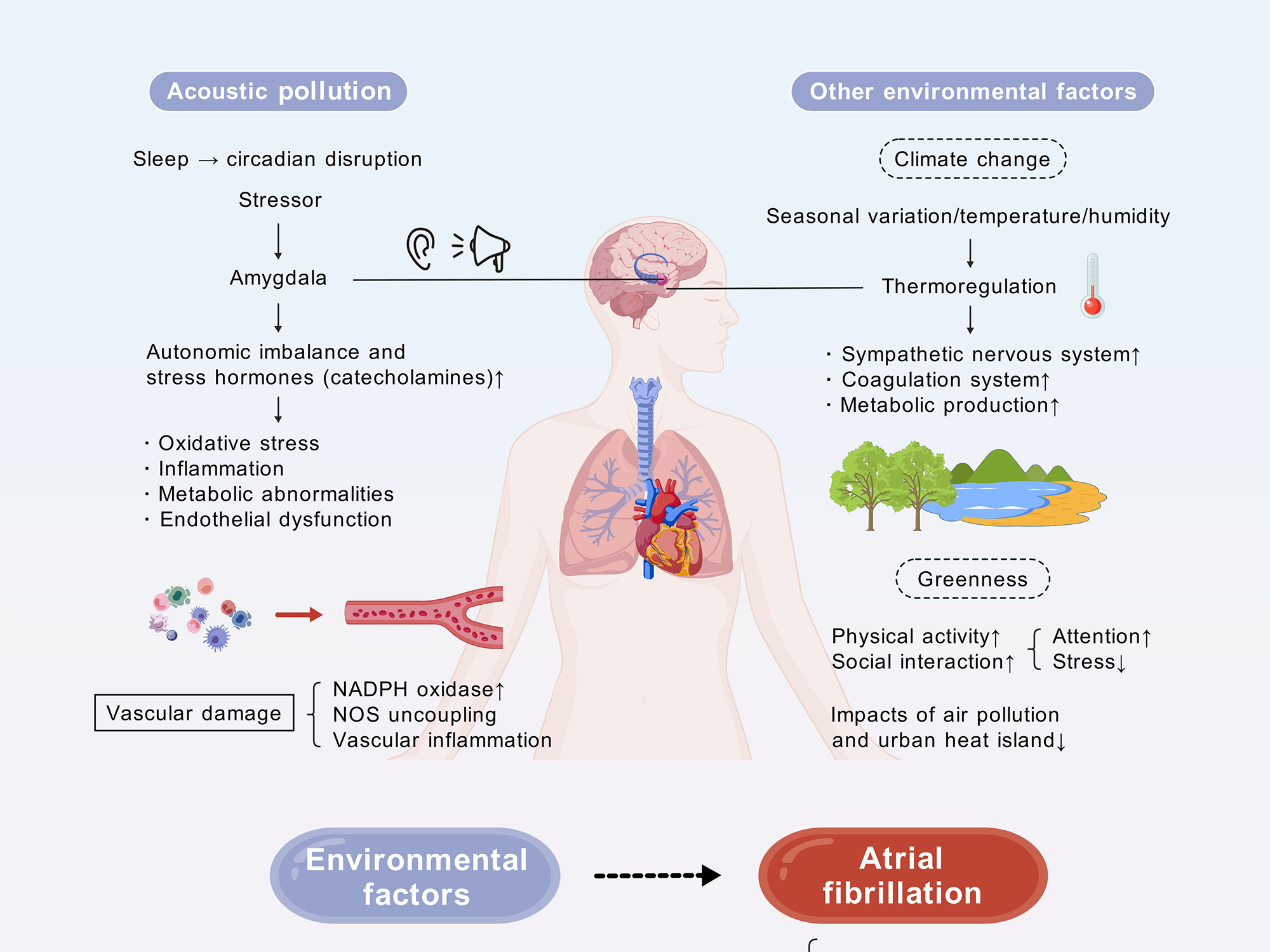 1735200943459228.png 5.png