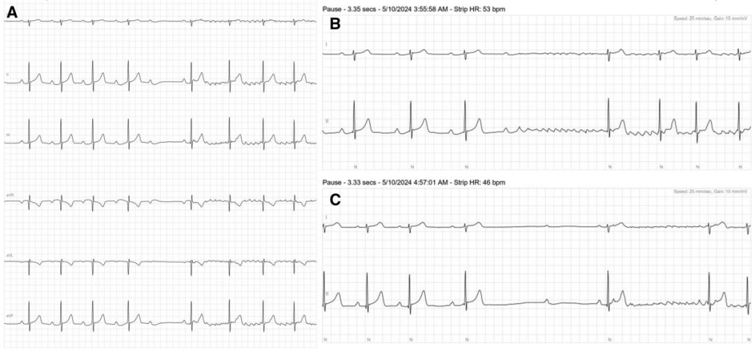 1737107587652733.png 1.png