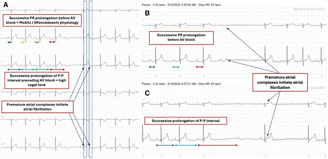 1737107650201662.jpg 2.jpg