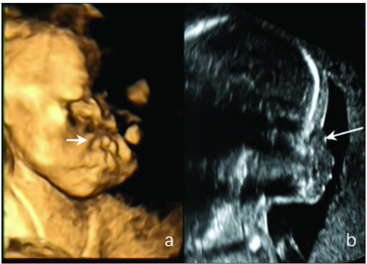 1737674953460964.png 1737674953460964.png