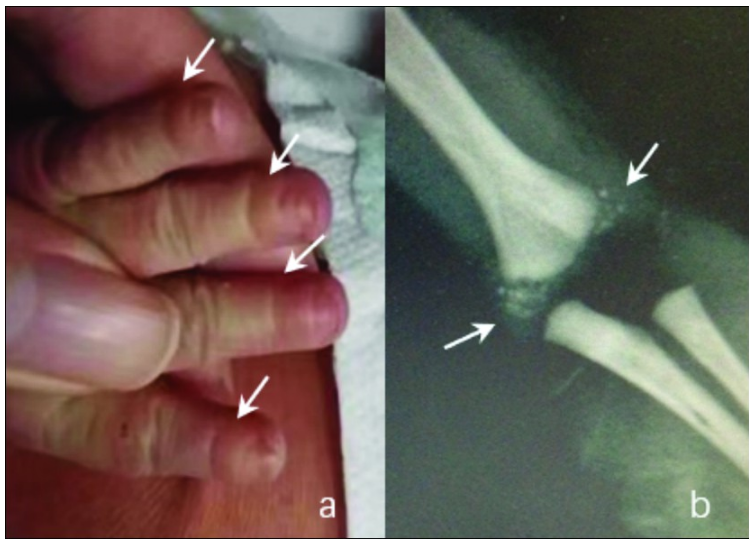 1737674986770661.png 1737674986770661.png