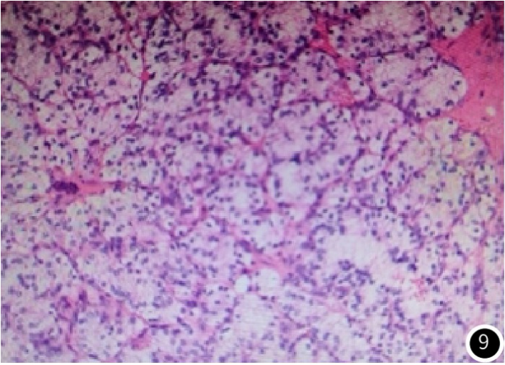 1737941898396561.png 1737941898396561.png