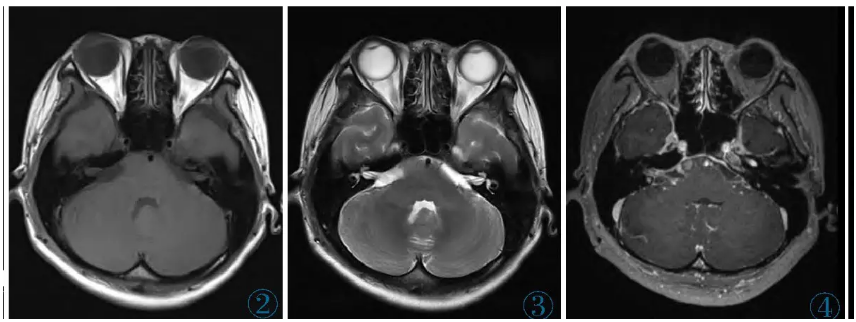 1737943426995192.png 1737943426995192.png