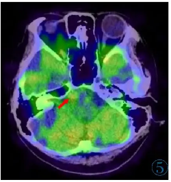 1737943535695031.png 5.png