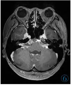 1737943548385579.png 6.png