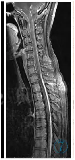 1737943554748609.png 7.png