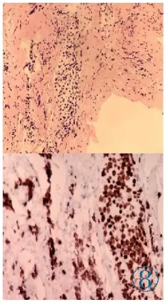 1737943570582980.png 8.png