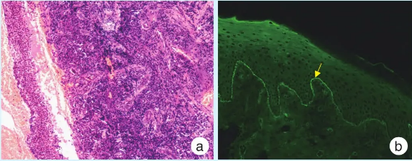 1737951938437059.png 2.png