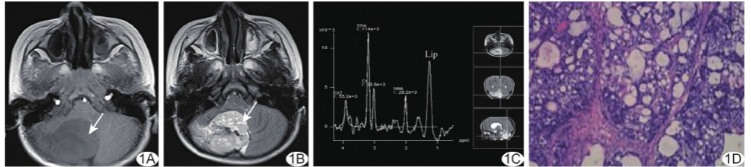 1737959806792102.png 1737959806792102.png