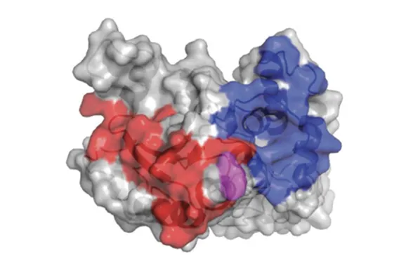 1739499301687485.png 1.png