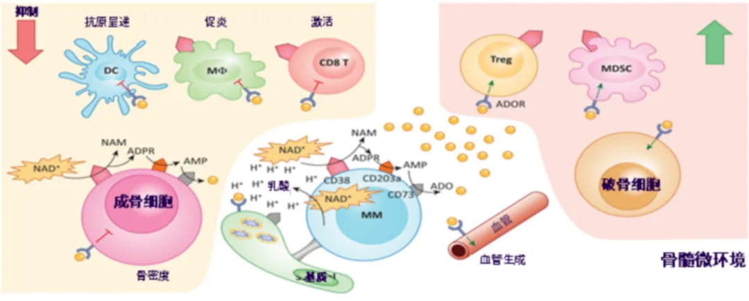 1739499474173117.png 4.png