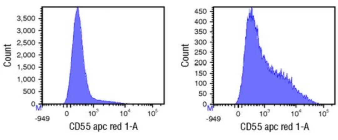 1739499531607015.png 6.png