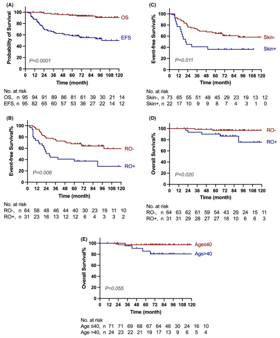 1740791676664060.png 10004.png