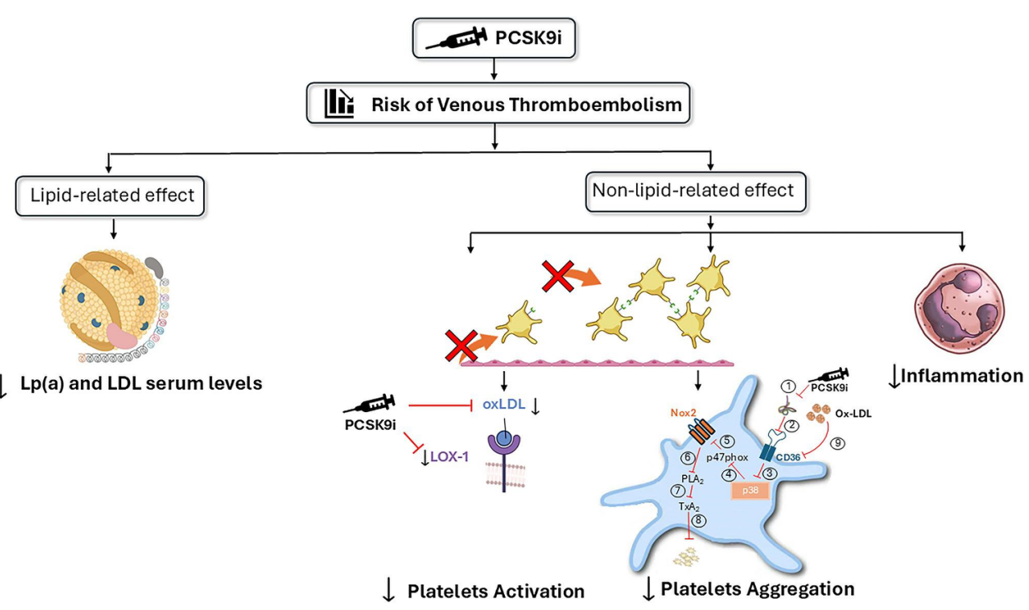 1741835086671732.png 2.png