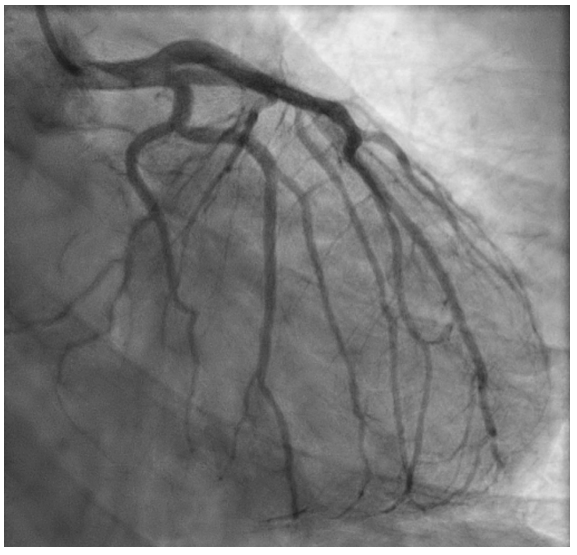 1742540903673238.png 2.png