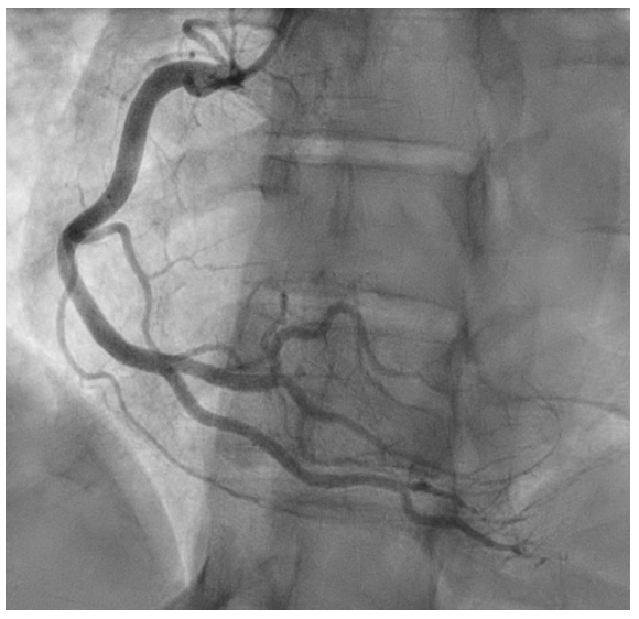 1742540913316830.png 3.png