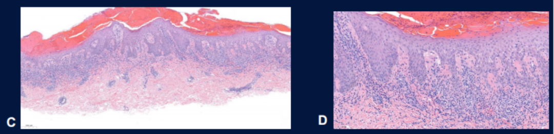 1743129464192539.png 640 (2).png