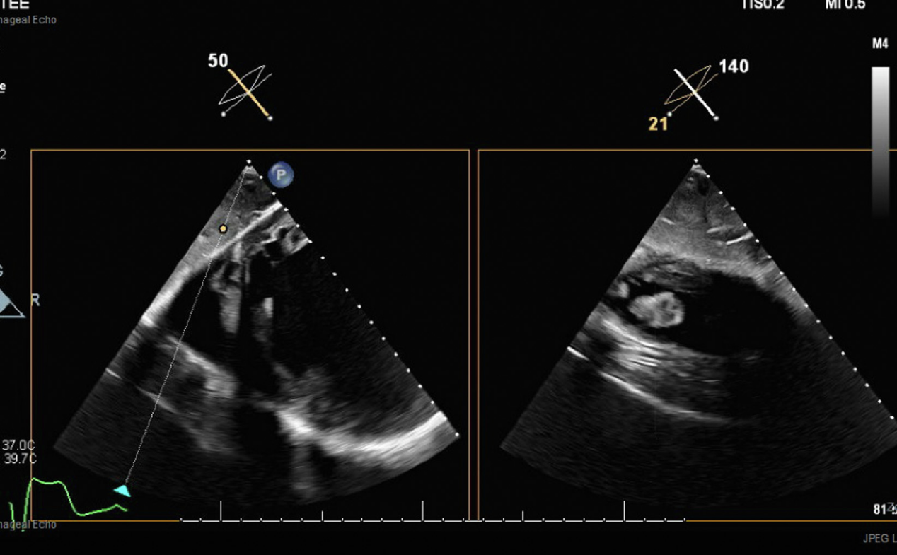 1743406330722832.png 1.png