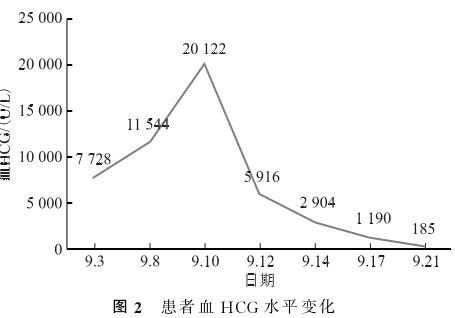 1743735463111691.jpg