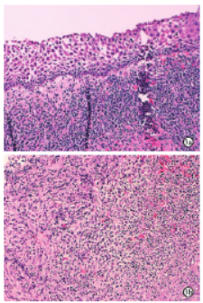 1744202079655911.png 3.png