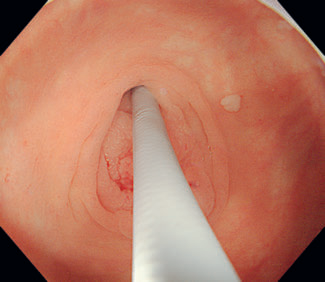 1744355408588317.png 图2.png