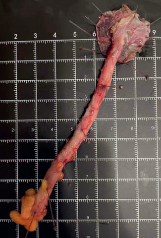 1744355424111370.png 图4.png