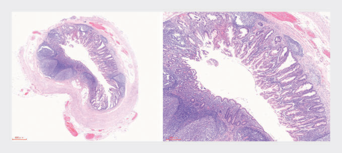 1744355435581269.png 图5.png