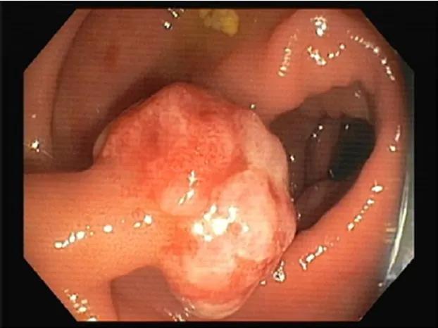 1744964031435386.jpg 1(1).jpg