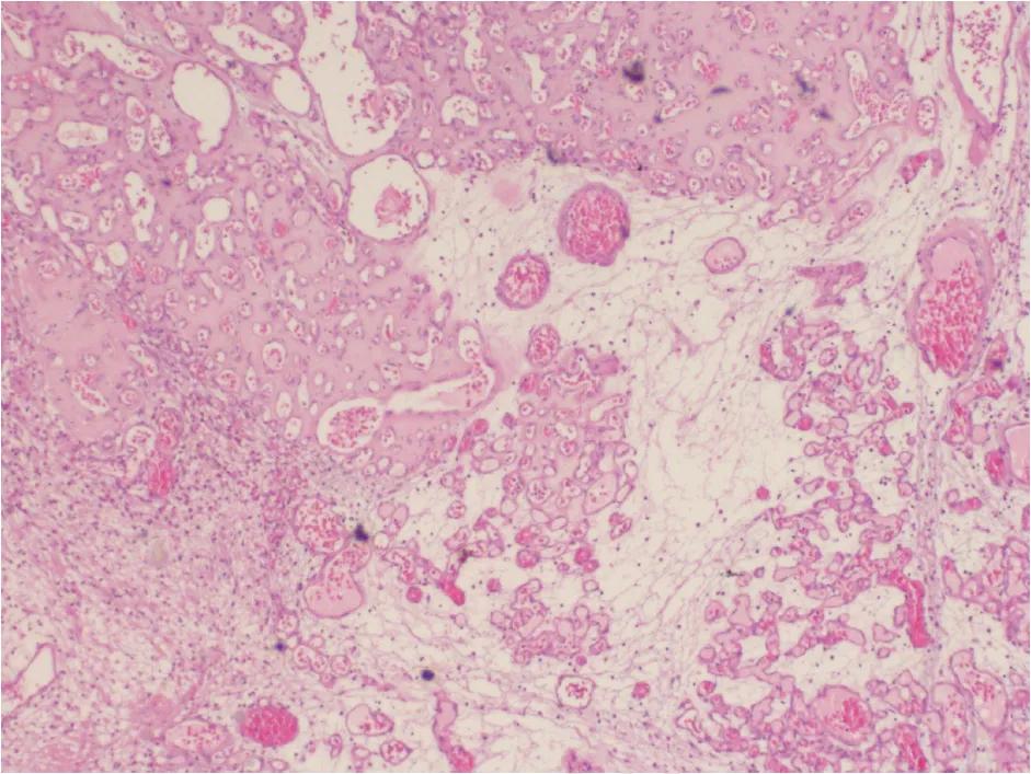 1744964039166569.jpg 2(1).jpg