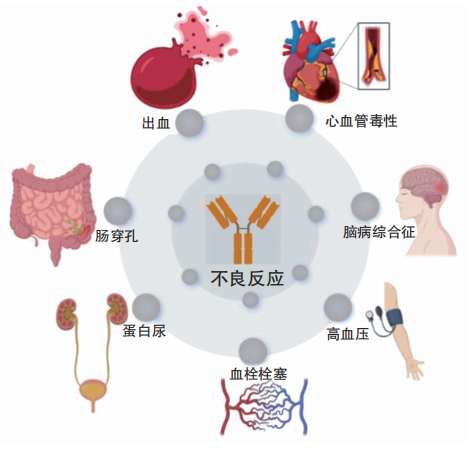 微信图片_20250430101113.png